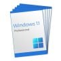 Win 11 Professional - 5 Keys